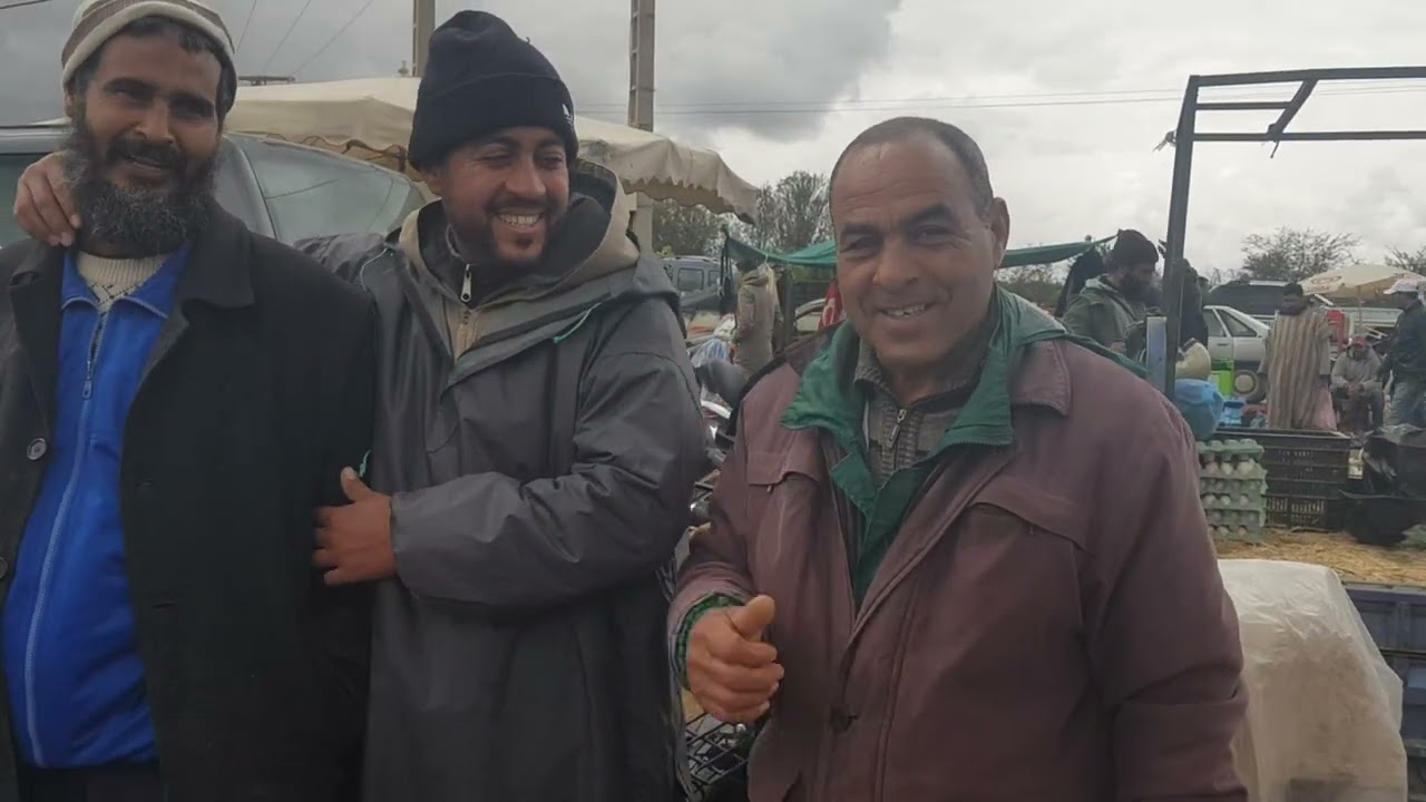 مباشرة من سوق الأربعاء مراكش مع تمن الارانب والدجاج والطاوس والغنم والبقر والخيل