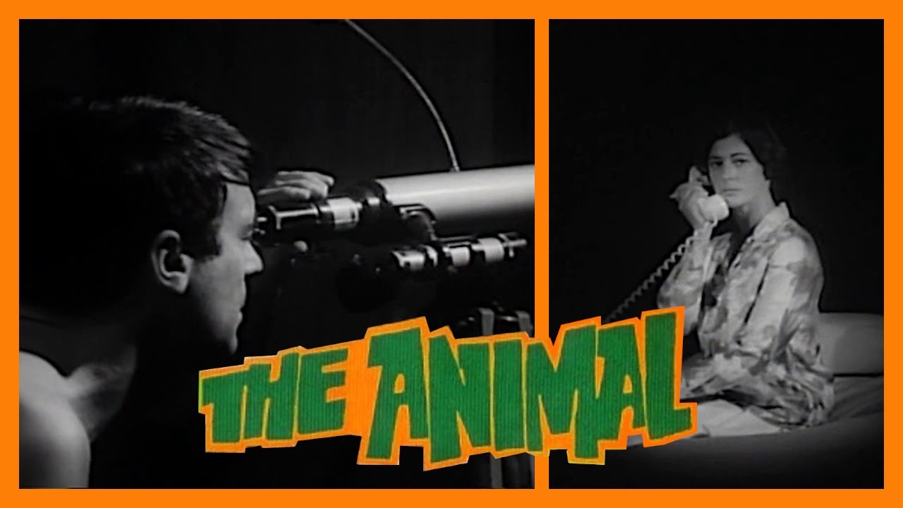 The Animal (1968) - A Roughie That's Nearly a Lost Film