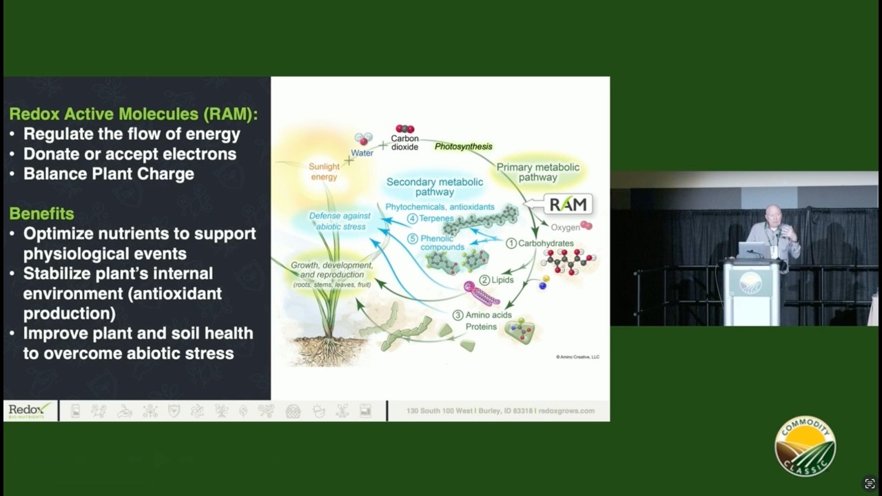 The Power of RAM Technology, with John Kelly of Redox
