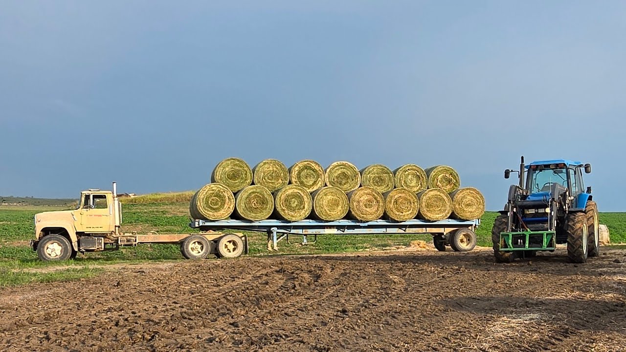 Cutting, Baling And Wrapping Bales!!