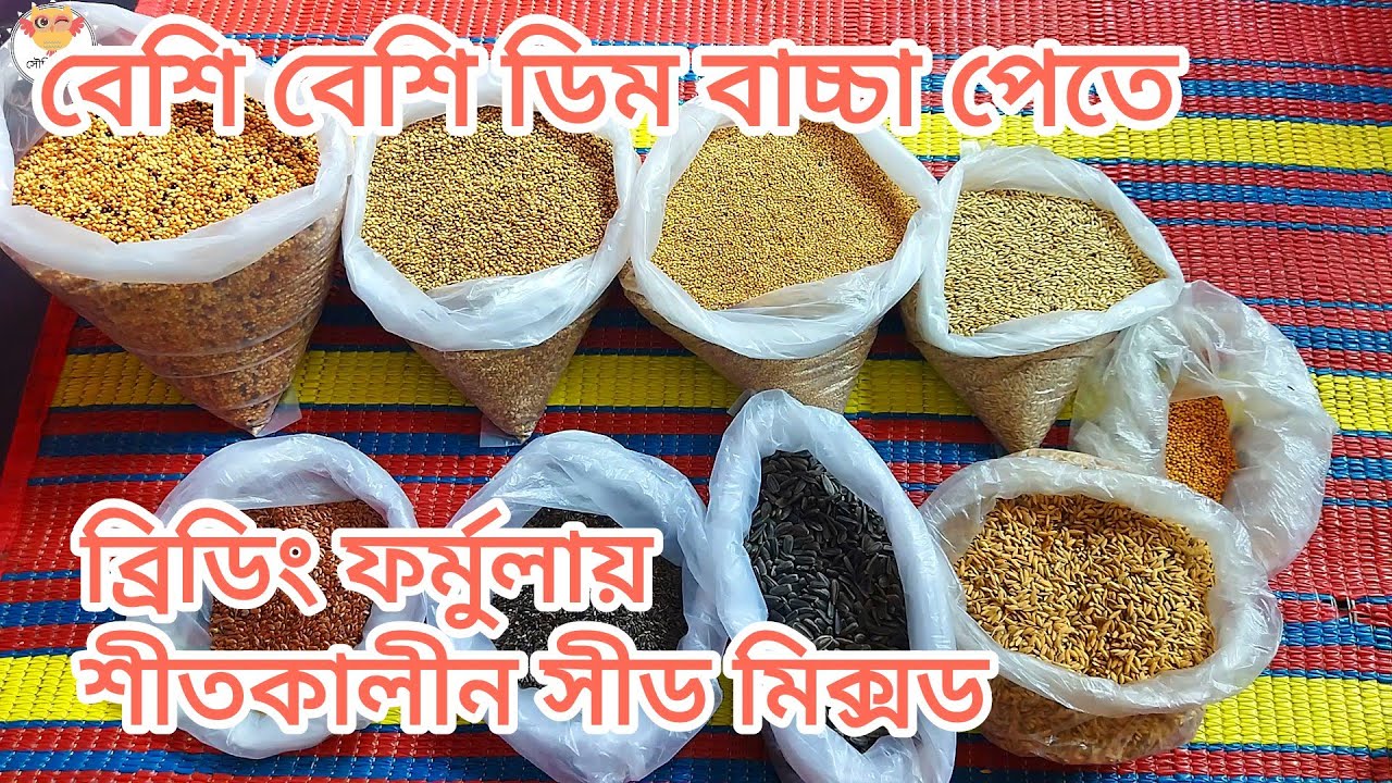 বাজরিগার, ককাটেল, লাভবার্ডস, ফিঞ্চ পাখির ব্রিডিং ফর্মুলায় শীতকালীন সীড মিক্সড। Winter seed mixed