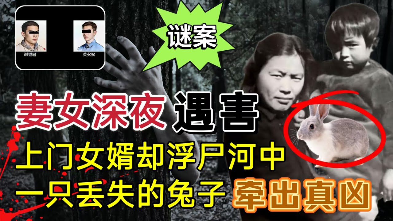 妻女在床上被杀，上门女婿浮尸河中，一只丢失的兔子牵出了真凶#案件調查 #大案紀實 #奇闻大案故事会