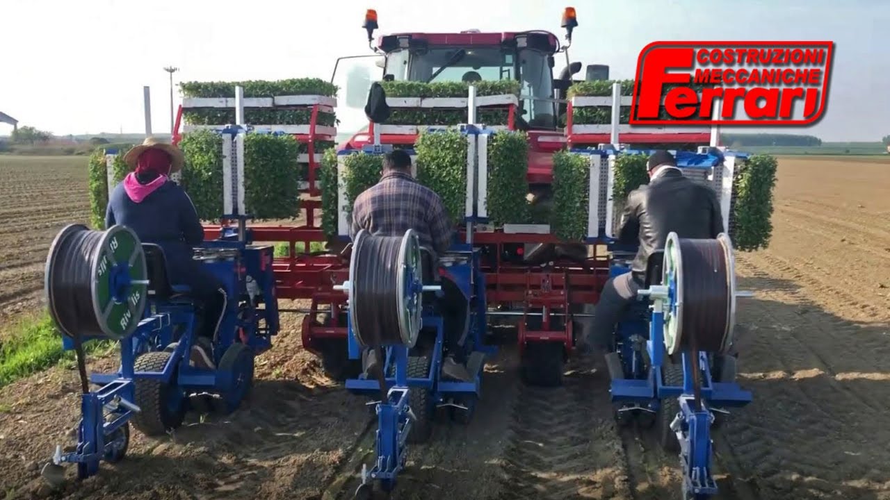 Ferrari Multipla Transplanter – Up to 5000 plants in one hour
