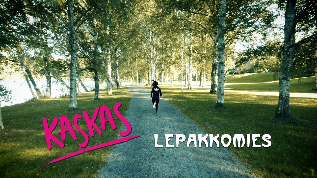 Kaskas - Lepakkomies