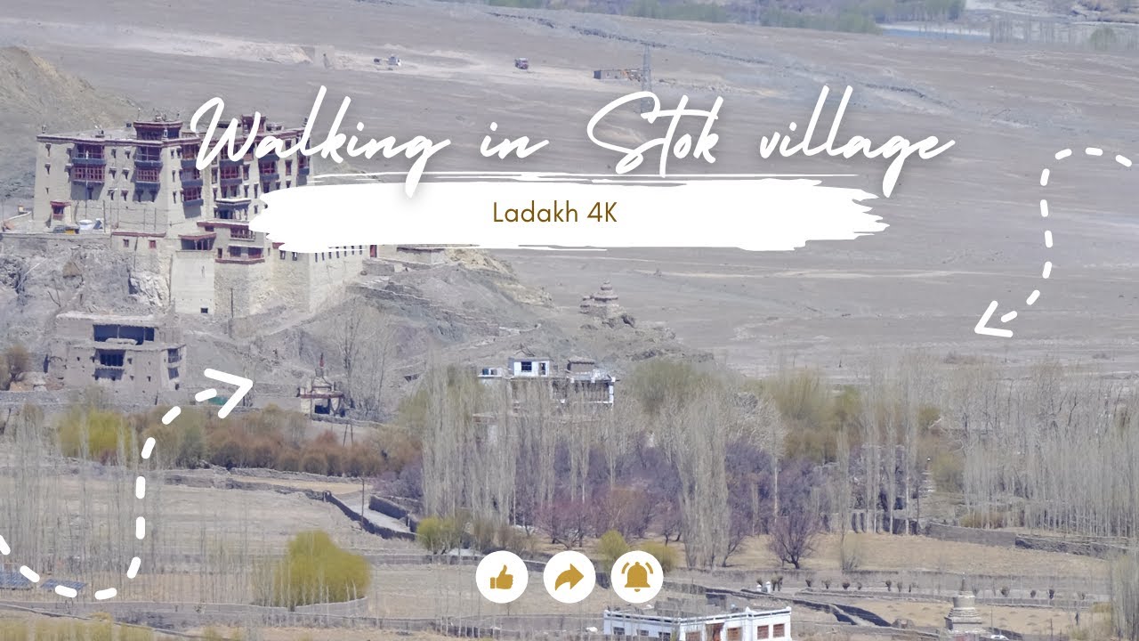 Walking in Stok village Ladakh 4K