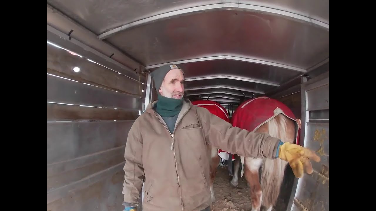 Draft Horses : My Trailer Problem With Draft Horses