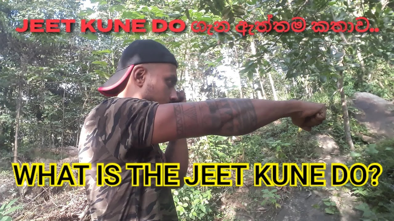 JEET KUNE DO - ගැන ඇත්තම කතාව