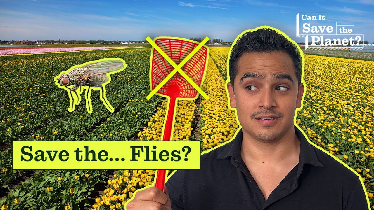 Why Pollinators Are Important To The Ecosystem