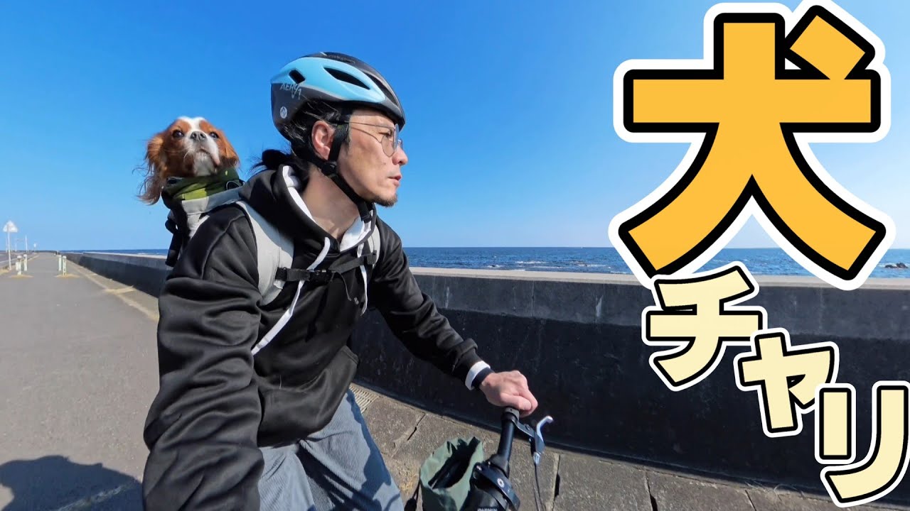 犬とサイクリングをする独身キャンピングカー25