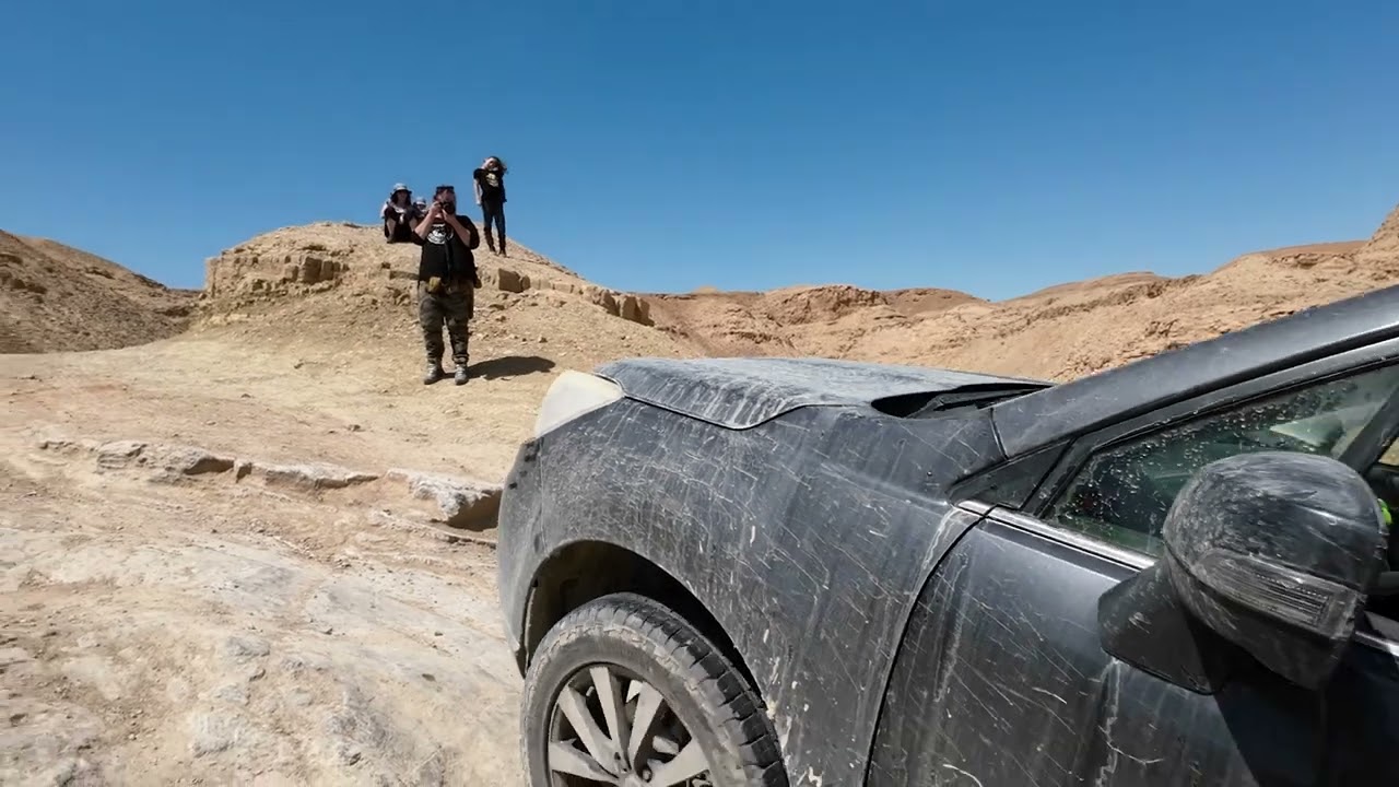 מעלה דקלים