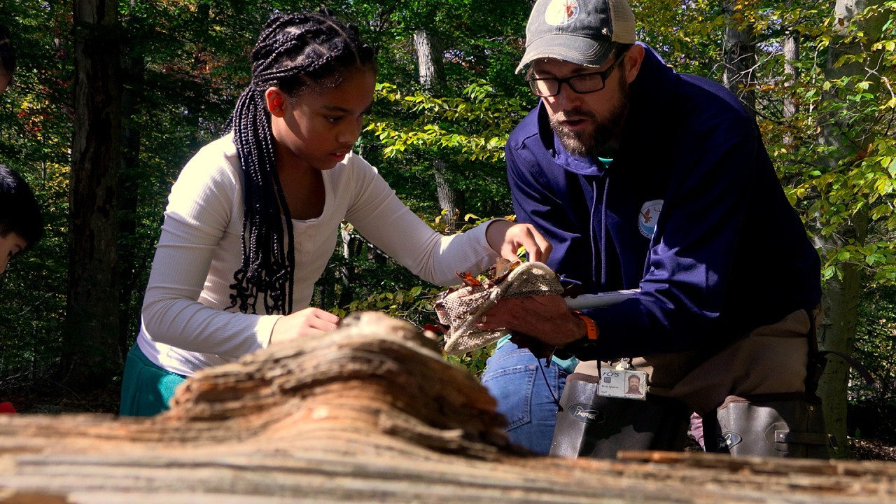 ESSENTIAL - Our Outdoor School Specialists