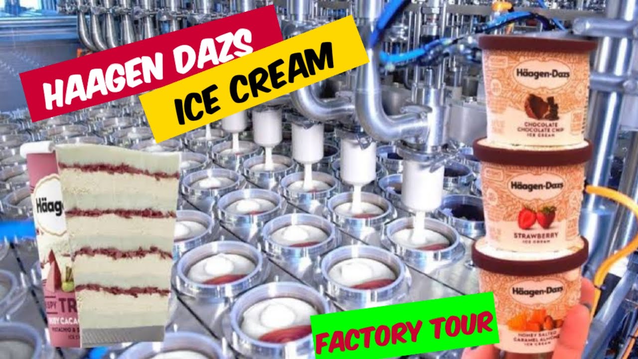 DELICIOUS H&Auml;AGEN DAZS ICE CREAM  INSIDE THE FACTORY | MAKING MACHINES | NY TECH INSIDER