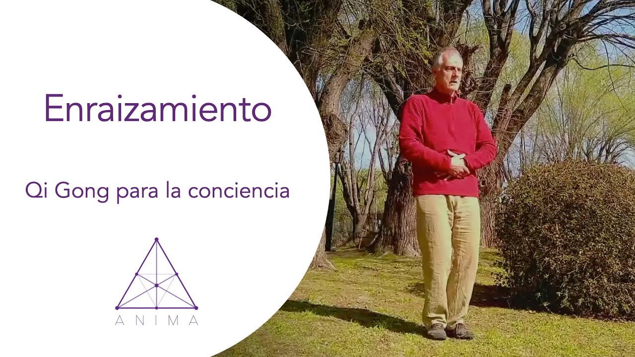 Enraizamiento