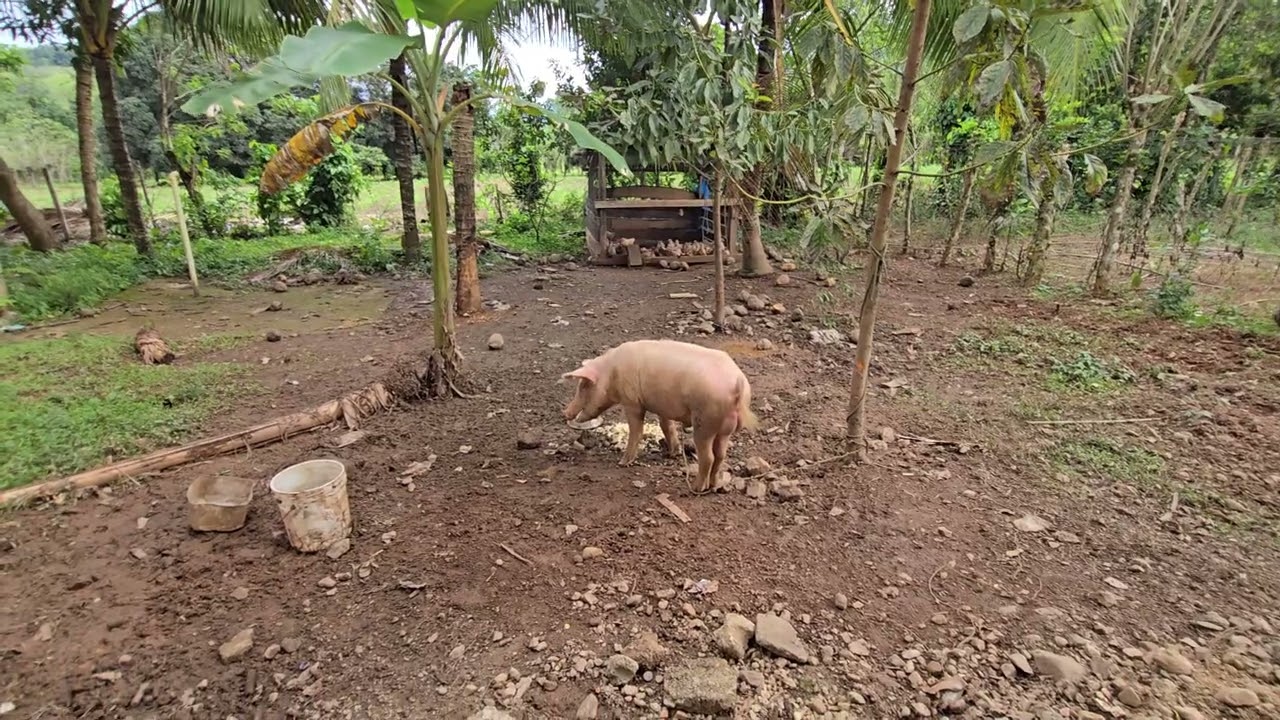 Otro video más para todos ustedes espero y lo disfruten