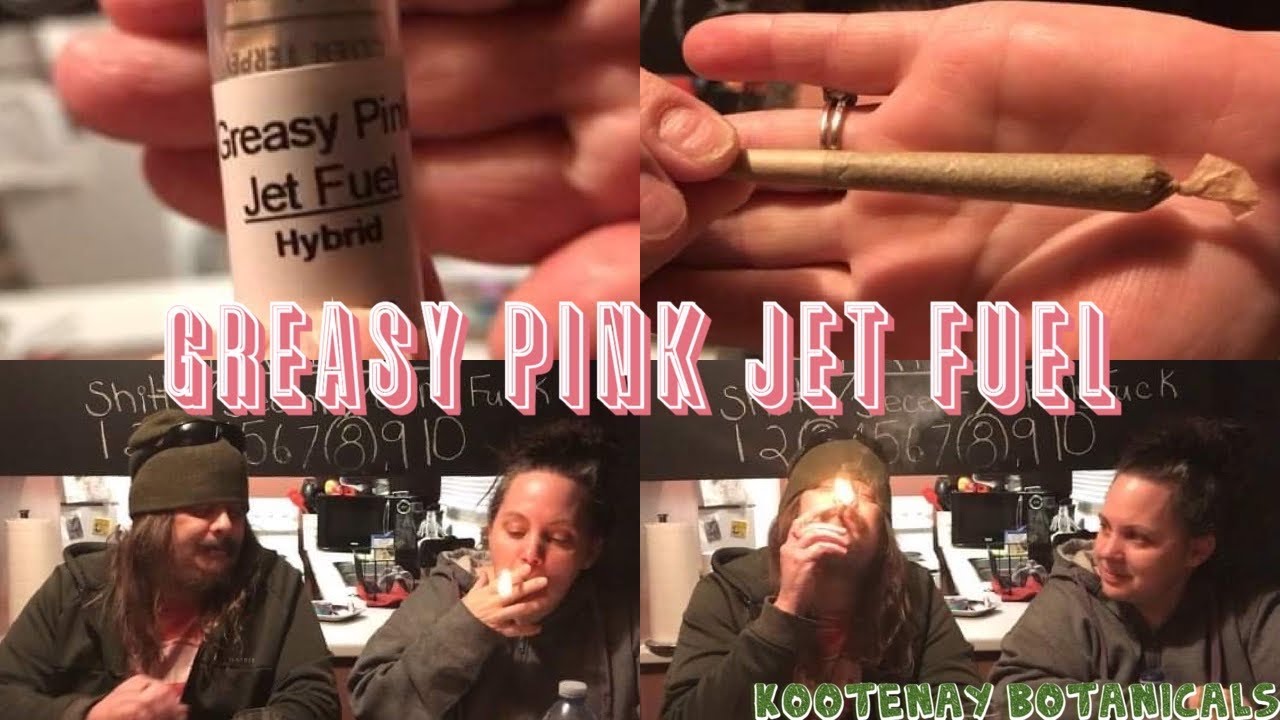 Cigrit & Donna Review &ldquo;Greasy Pink Jet Fuel&rdquo;⛽️ (Medical Marijuana) From Kootenay Botanicals