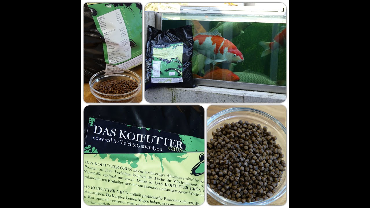 DAS KOIFUTTER GR&Uuml;N