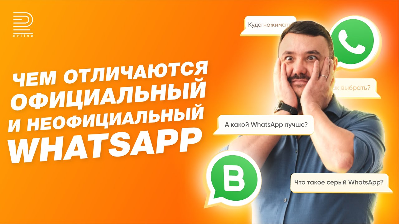 What's the difference between the official WhatsApp Business API and regular WhatsApp? We explore...
