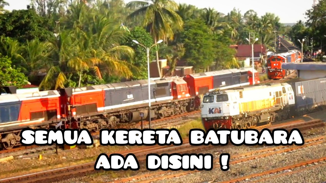 SEMUA KERETA BATUBARA ADA DISINI ! || Hunting Seharian Di Percabangan Muara Enim