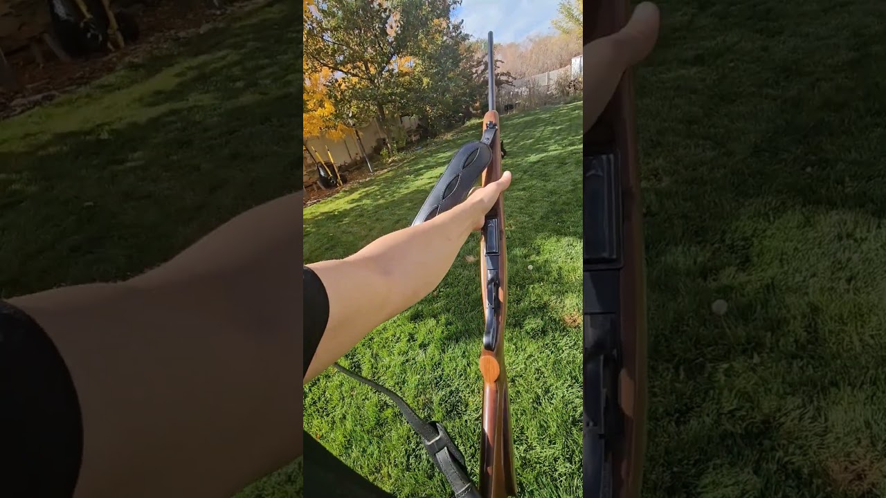 Winchester Model 88 .308