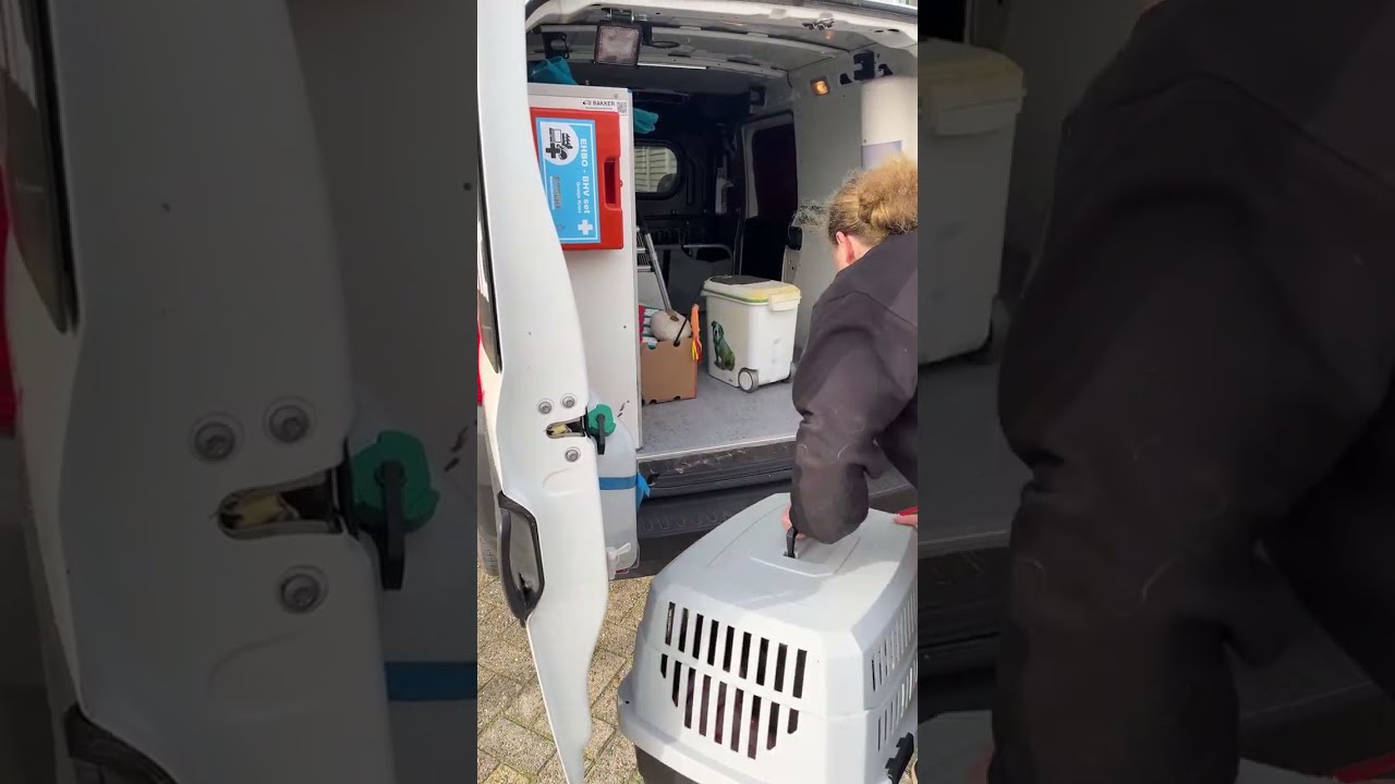 WoodysVeiligeHaven is live