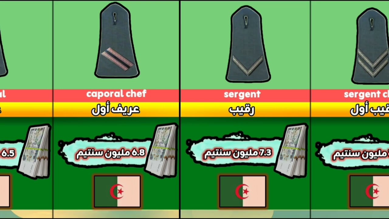 راتب أفراد الجيش الوطني الشعبي الجزائري 2025