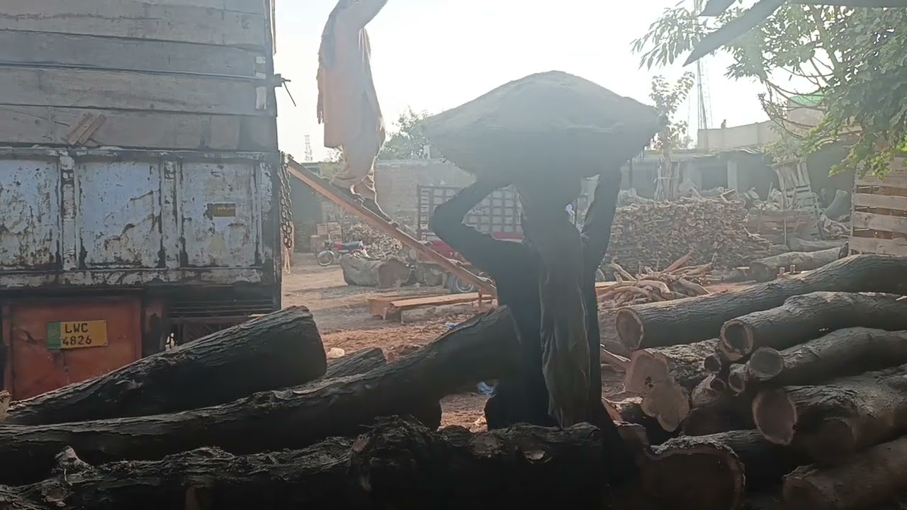 How they working very hard work 