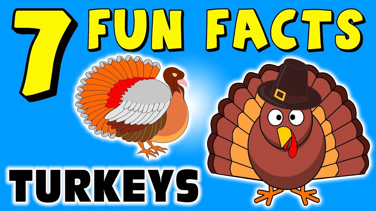 7 FUN FACTS ABOUT TURKEYS! TURKEY FACTS FOR KIDS! Thanksgiving! Learning Colors! Funny! Sock Puppet!