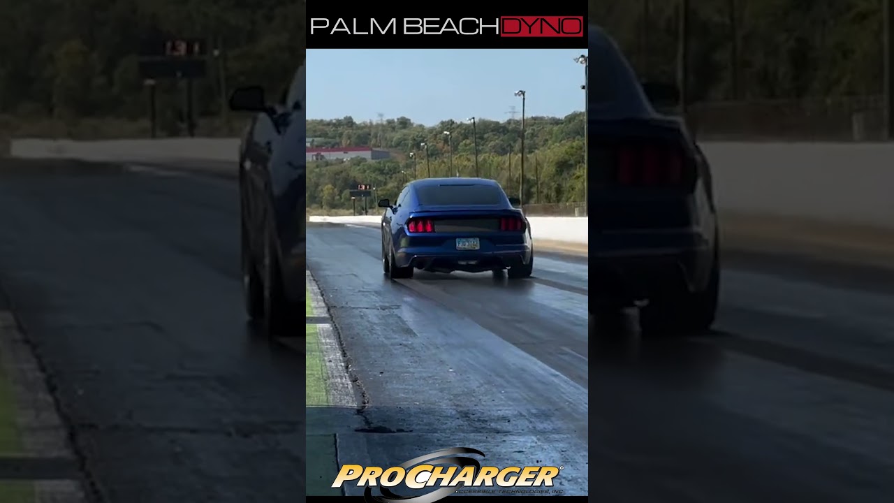 Procharged S550 Mustang goes 8.0@172  #palmbeachdyno #dragracing #s550