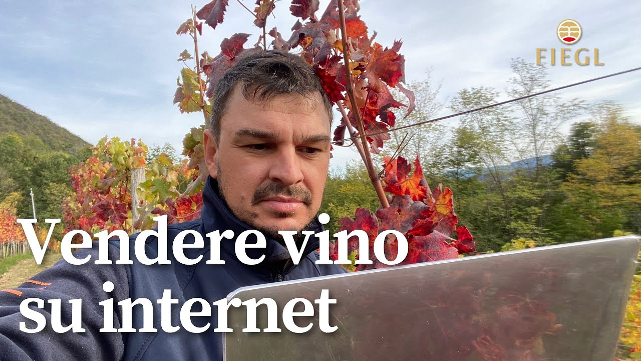 Vendere vino online | Tra miti e realtà