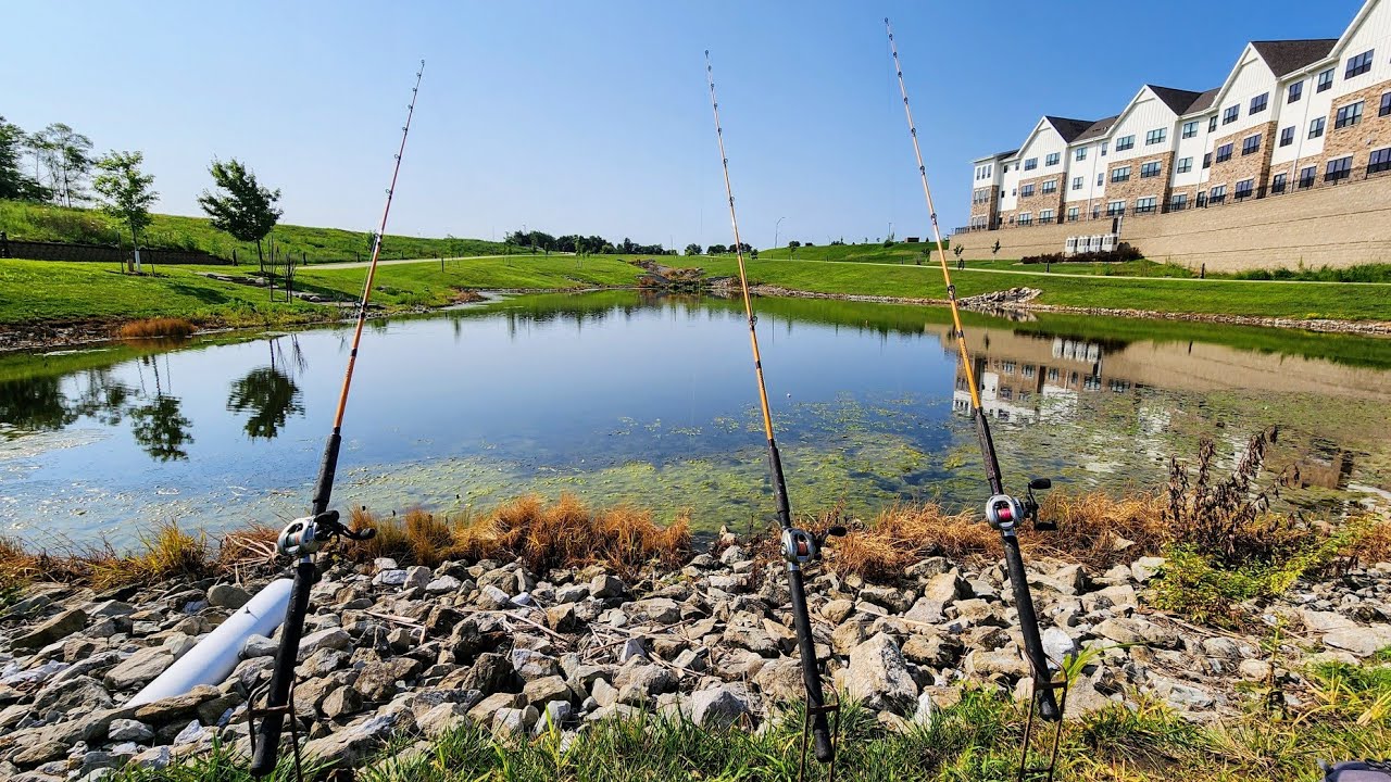 A STRANGE CATFISH Lives In This CITY POND!! (Bobber Fishing)