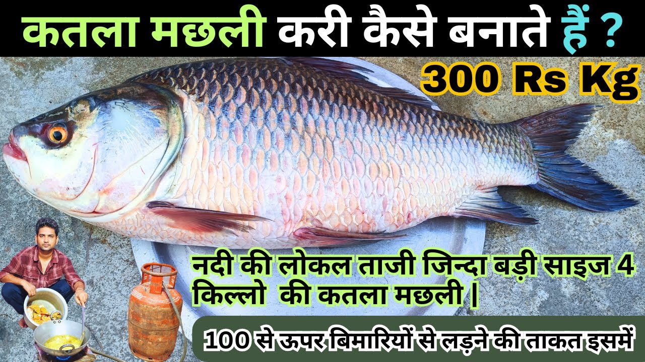 कतला मछली करी🐟पुरे भारतीय की पसंद ,विस्तार में काटने से बनाने तक देसी अंदाज में | Katla Fish Curry