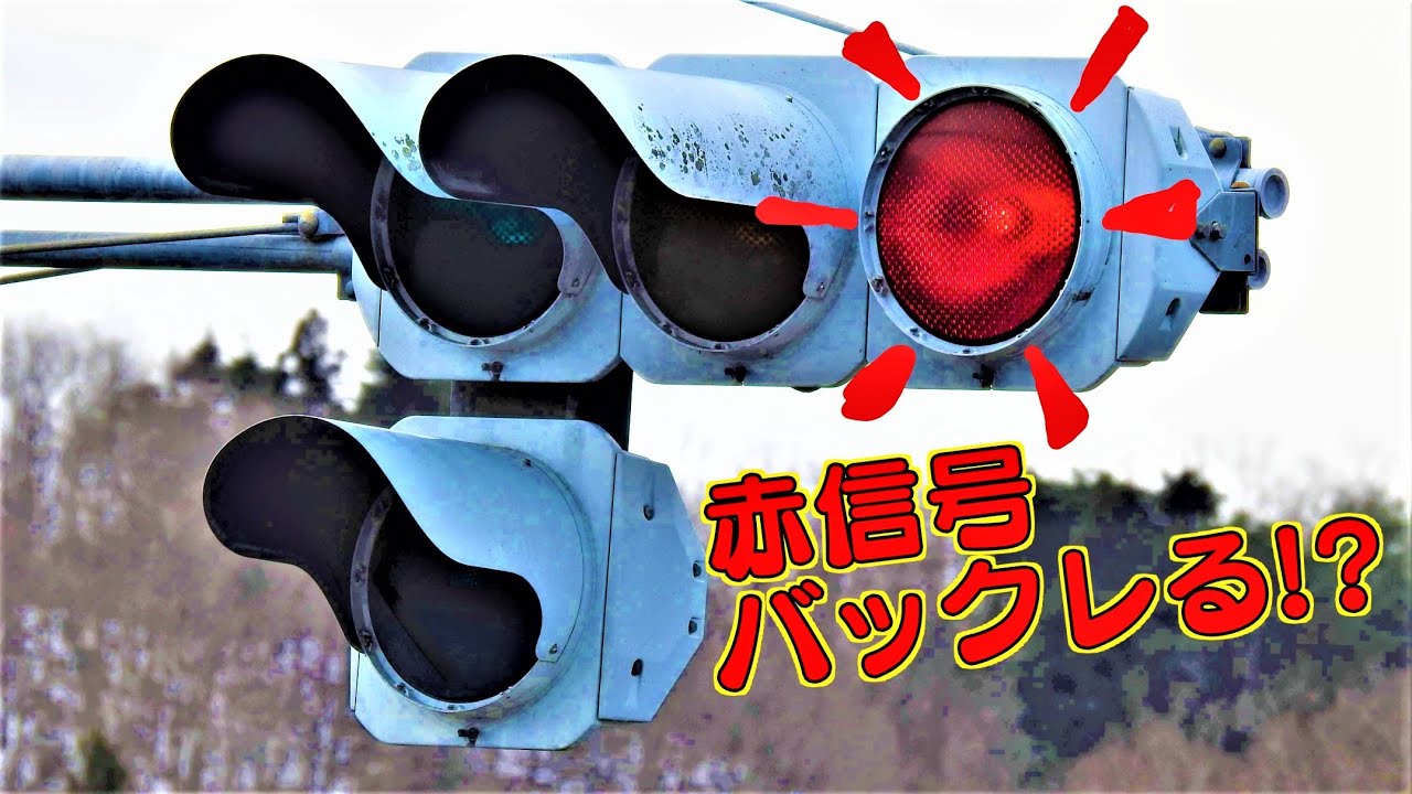 フード外れた信号機 赤信号バックレるの巻100万回視聴記念動画