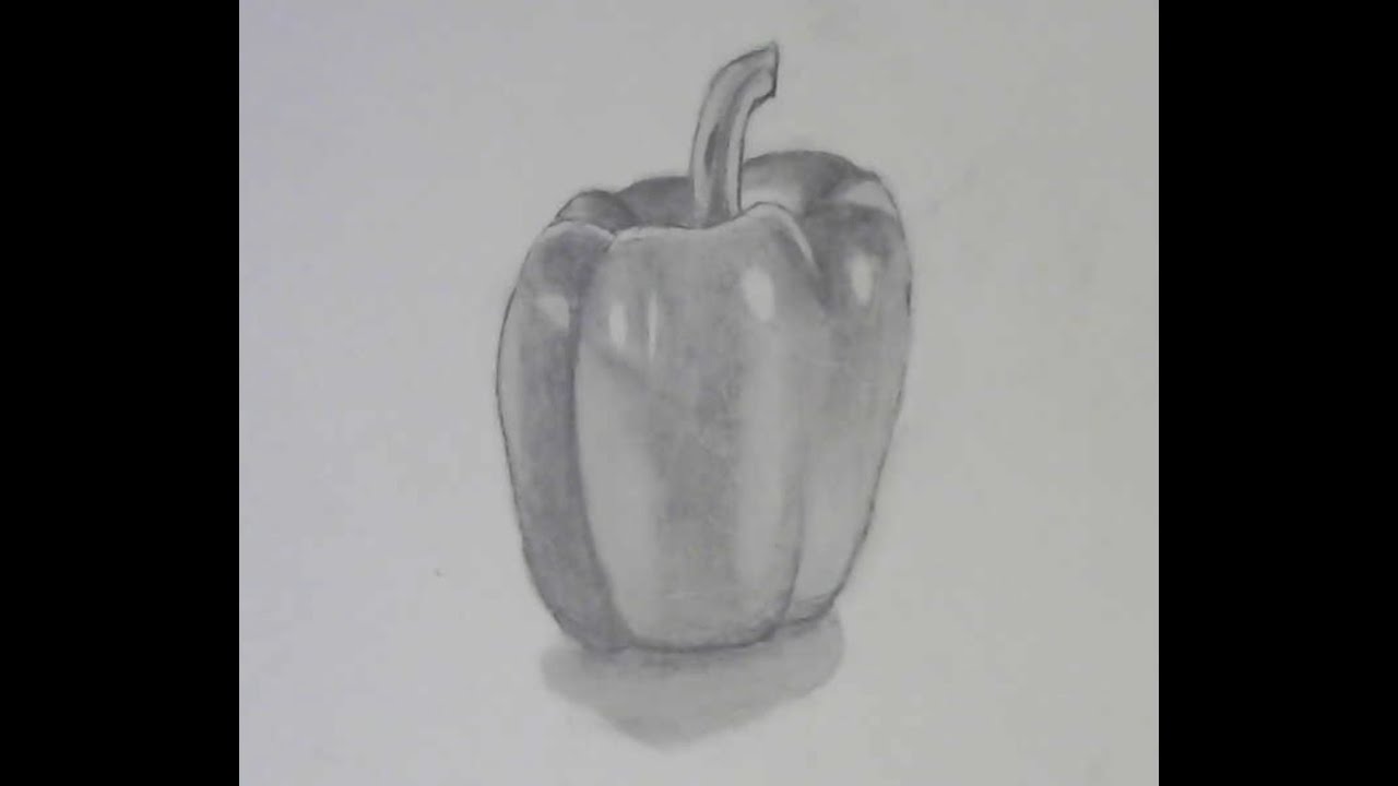 Shading a Realistic Green Pepper for Intermediates