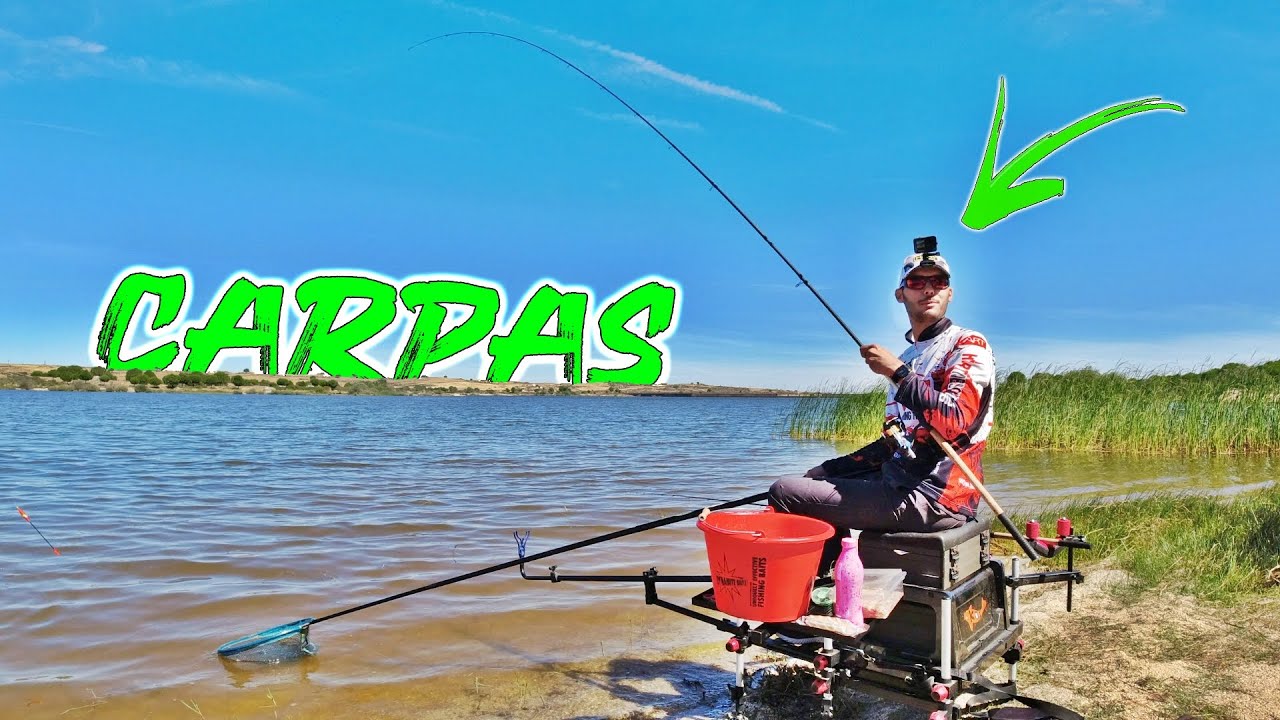 Pesca de CARPAS a INGLESA y a FEEDER *ME INTENTAN ENGAÑAR*'