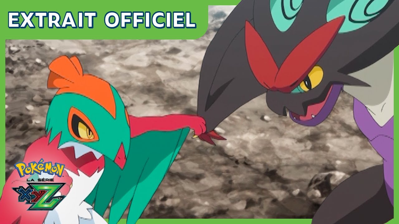 Bruyverne ! | Pokémon, la série : XYZ | Extrait officiel