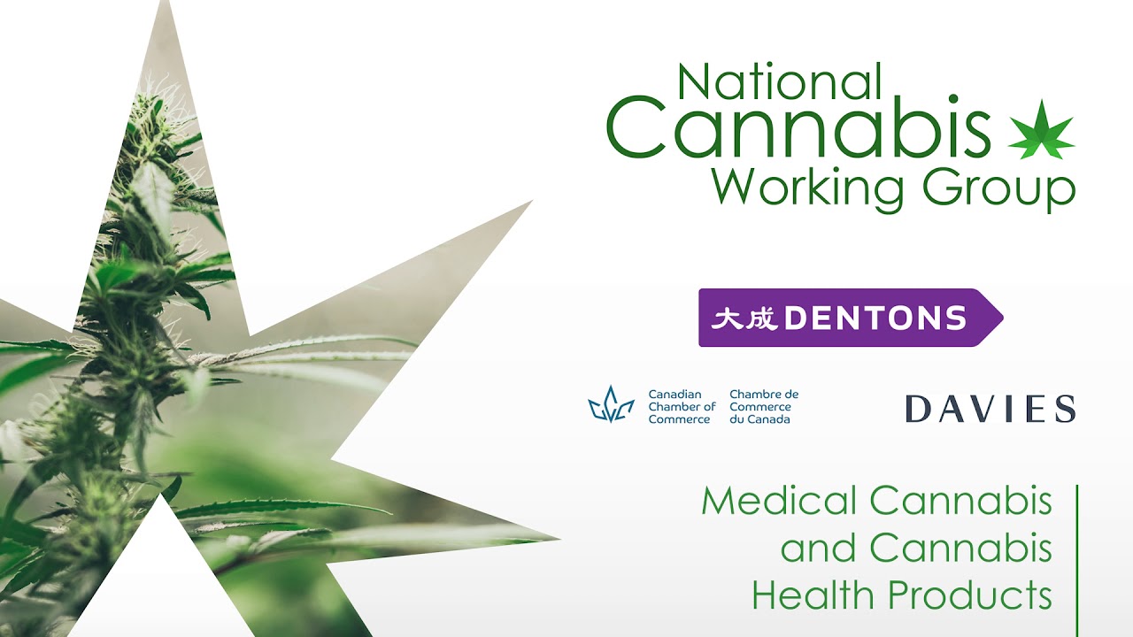 Cannabis Act Review: Medical Cannabis and Cannabis Health Products
