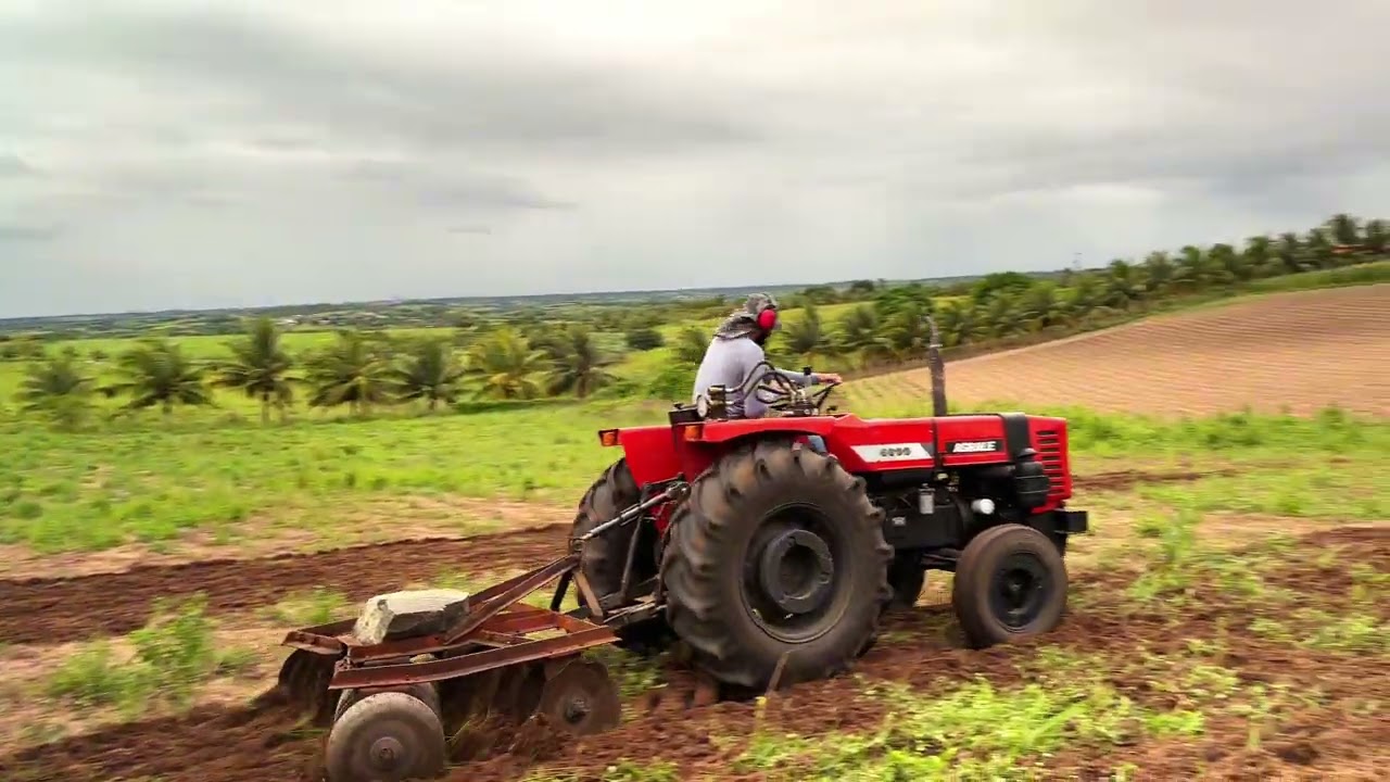 Trator Agrale 4300 Cortando Terra com Grade Niveladora | Preparação de Solo para Plantio!