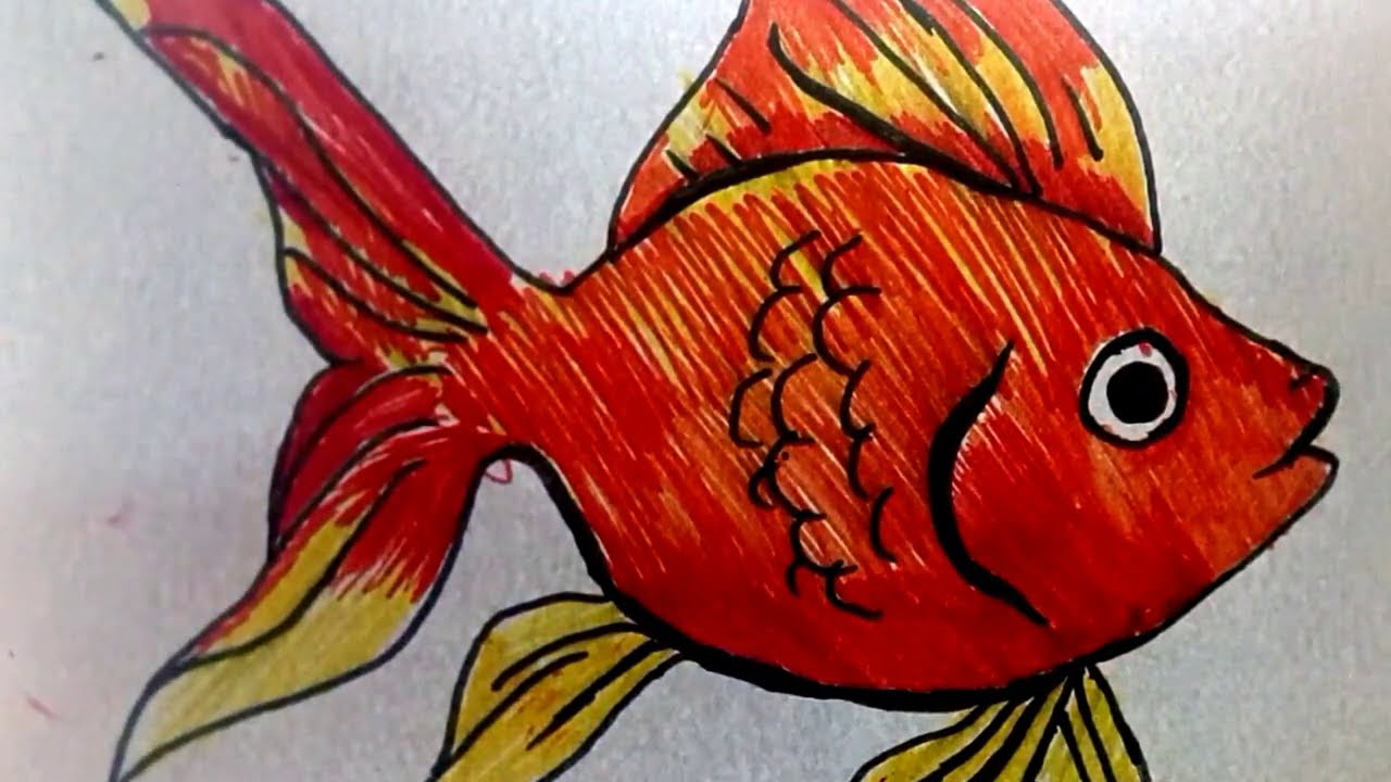 تعلم رسم  سمكة جميلة بكل بساطة🐠🐟How to draw a fish simply? 2021
