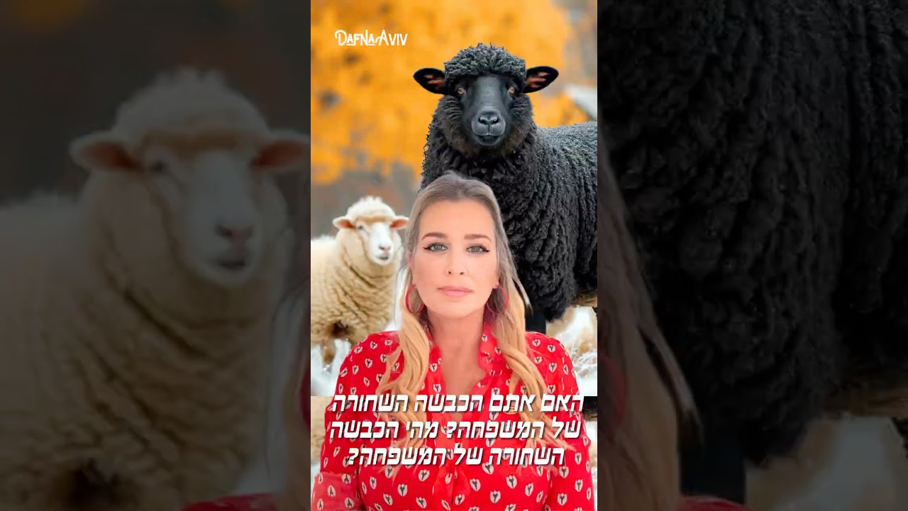 🌤️ האם אתם הכבשה השחורה של המשפחה? מהי הכבשה השחורה בעצם? 
