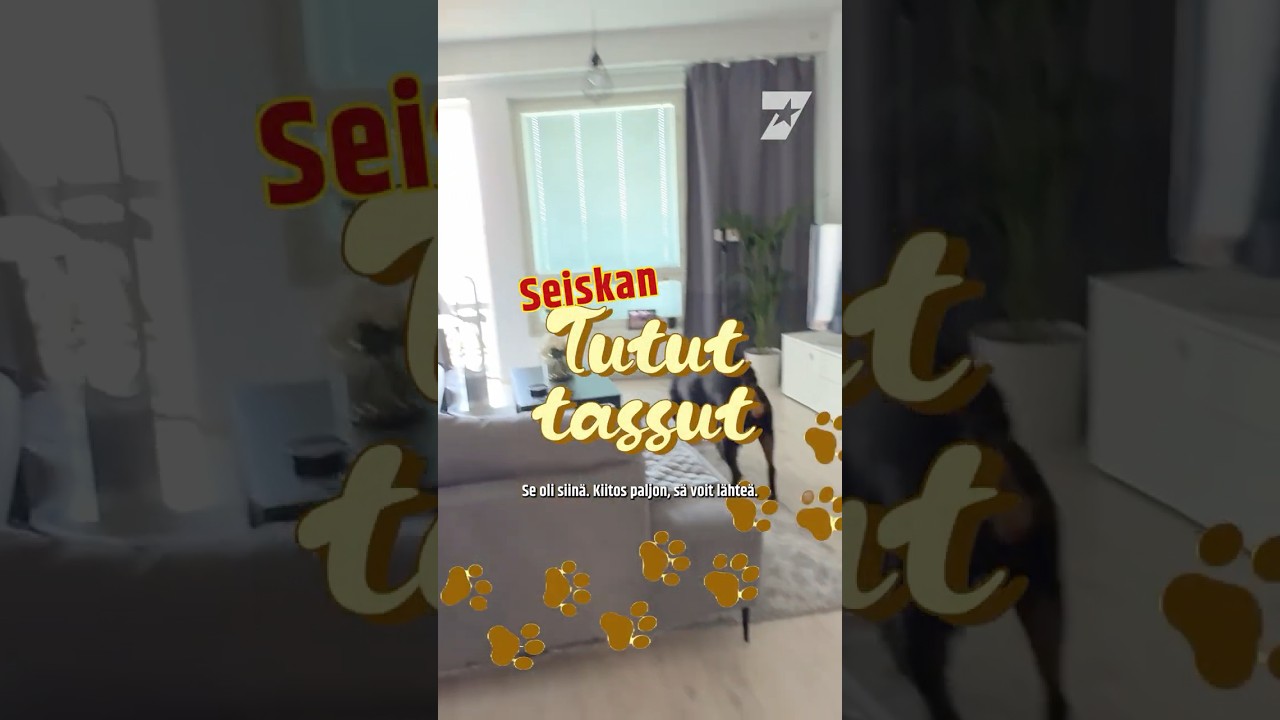 Seiskan tutut tassut Alona Kuusisto & Lexi