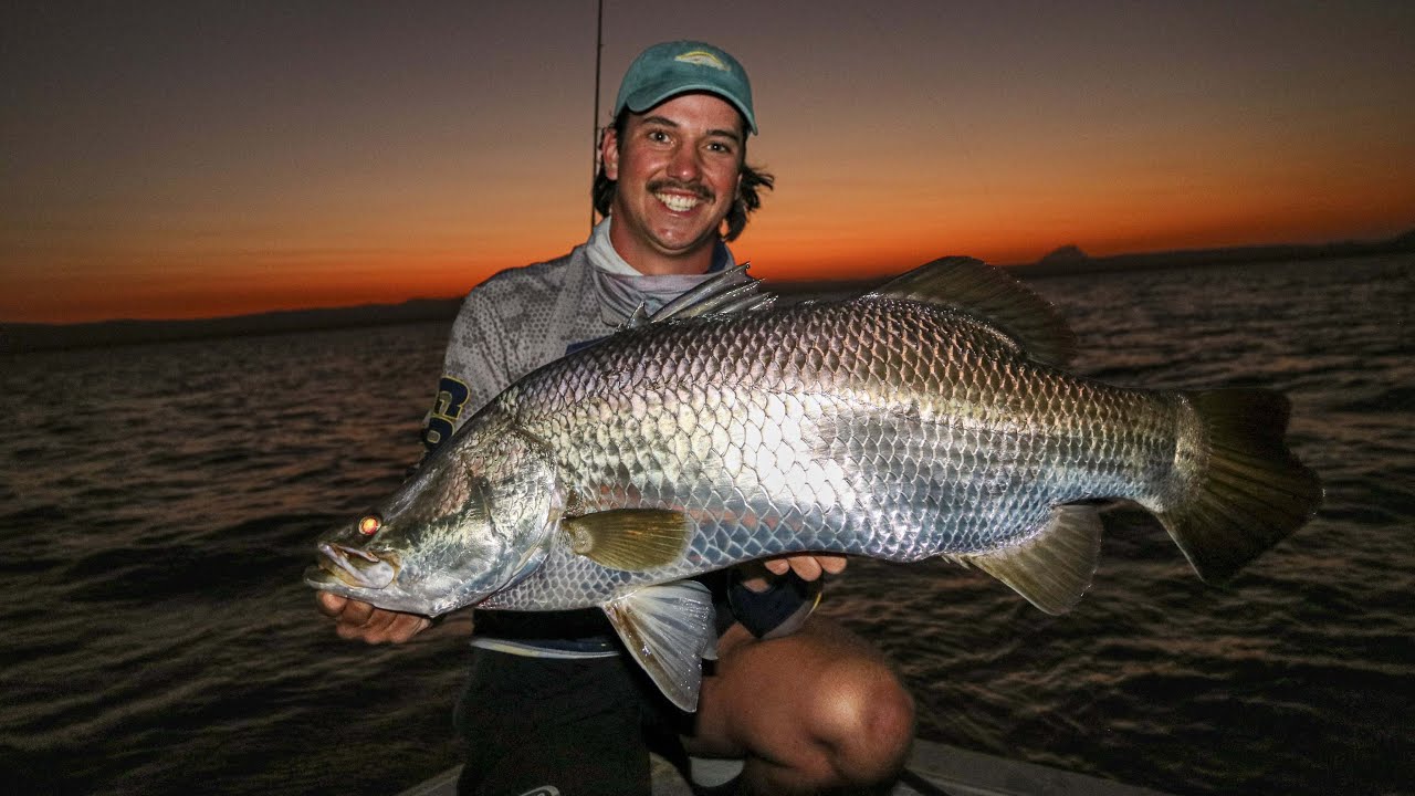Big Barra Bite | Peter Faust Dam (Lake Proserpine)