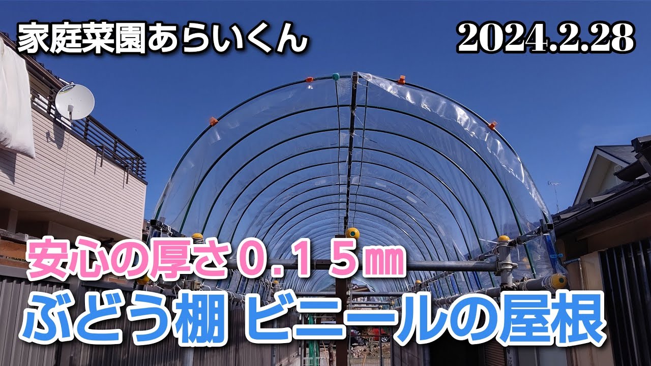 【ぶどう棚DIY】第１４４回、拘りのビニール屋根制作【家庭菜園】