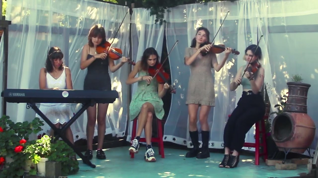 Freefalling | Scottish Fish