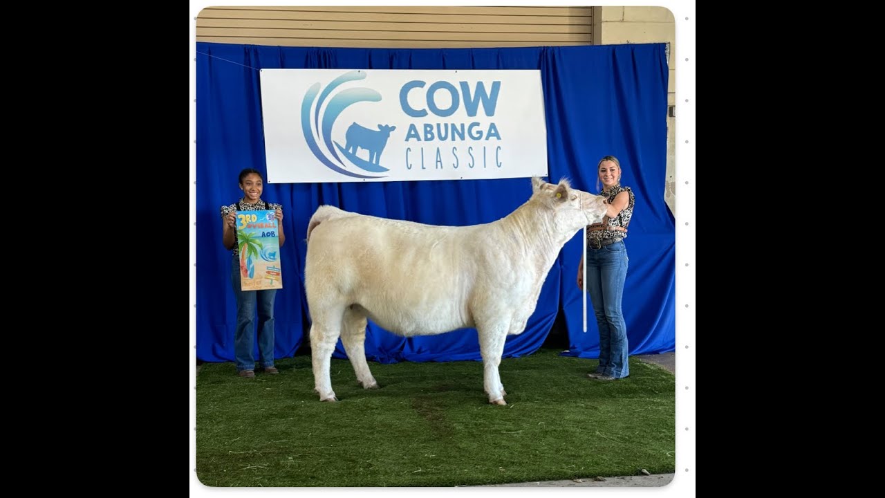 Выставка Cowabunga Classic Prospect Show в Киссимми, Флорида. Первое выступление Уоллена.