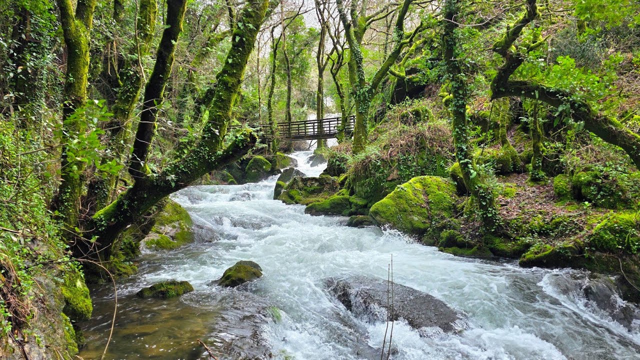 Fervenza de San Xusto ¡Impresionante espectáculo natural!