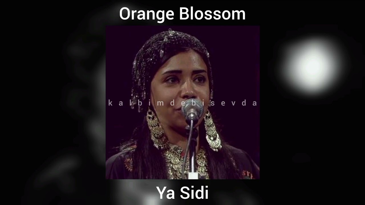 Orange Blossom - Ya Sidi (speed up)