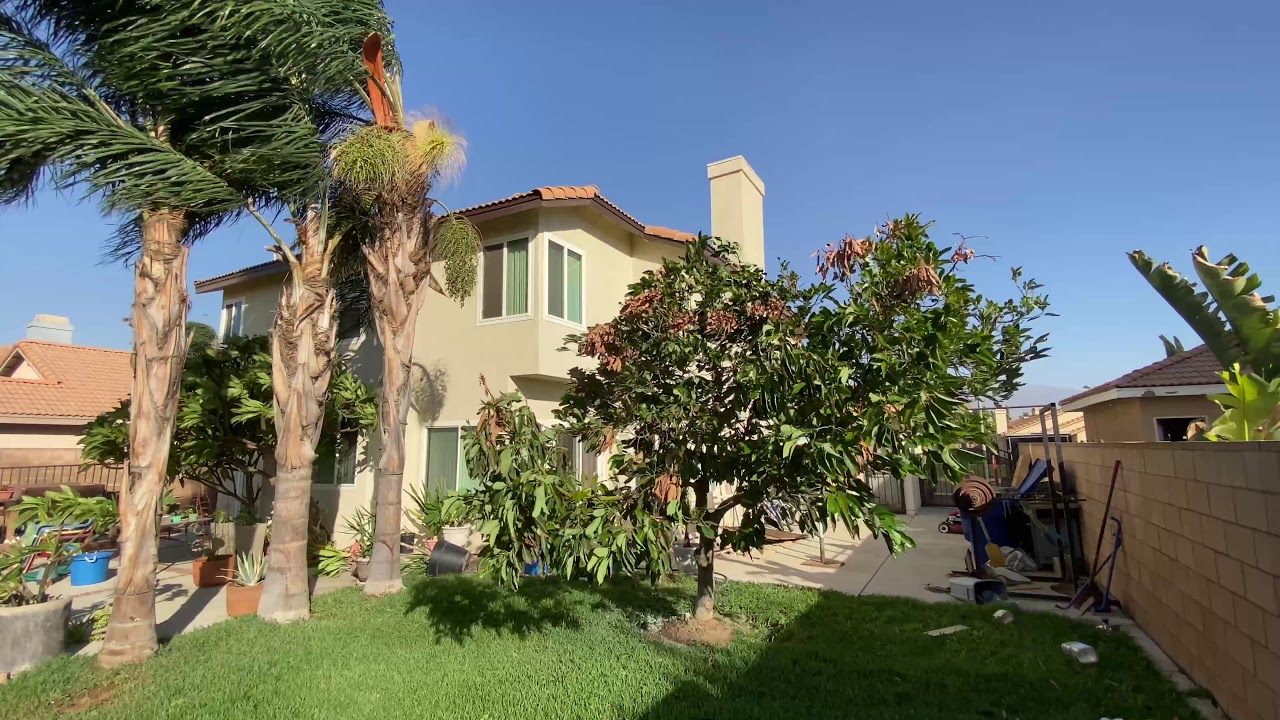 2nd Strong Santa Ana Wind Event 10-26-20
