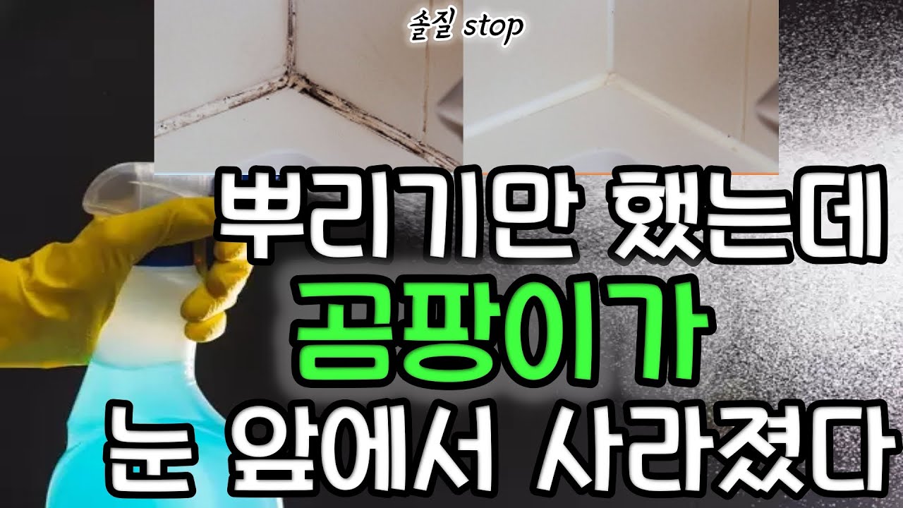 아마존 찐템리뷰) 솔질 NO! 뿌리기만 했는데 10초안에 곰팡이가 사라지는 곰팡이 제거제 / 발뒤꿈치 각질 고민 해결! 더이상 굳은살 데리고 살지 마세요. (제돈제산)