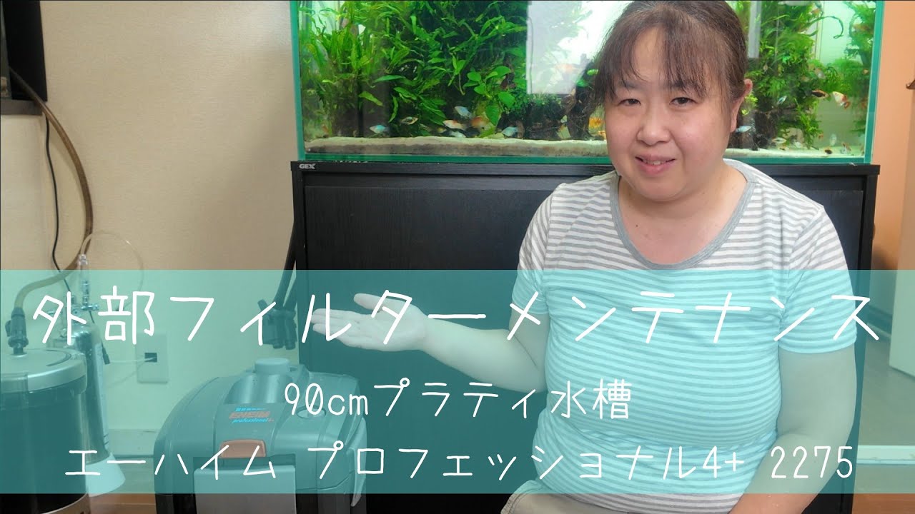 90cmプラティ水槽外部フィルター清掃🐟エーハイム プロフェッショナル4+ 2275【水槽メンテナンスシリーズ #13】