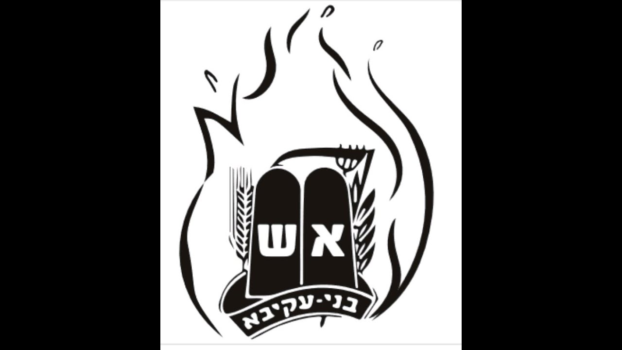 הופעות חודש ארגון תשפ